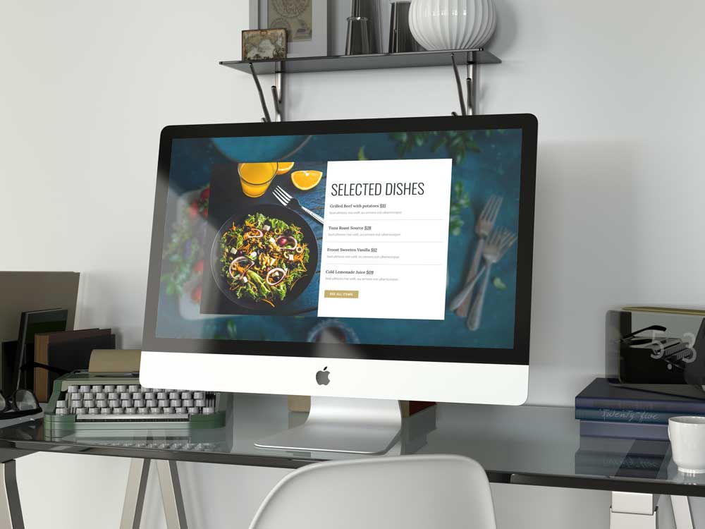 Web development
